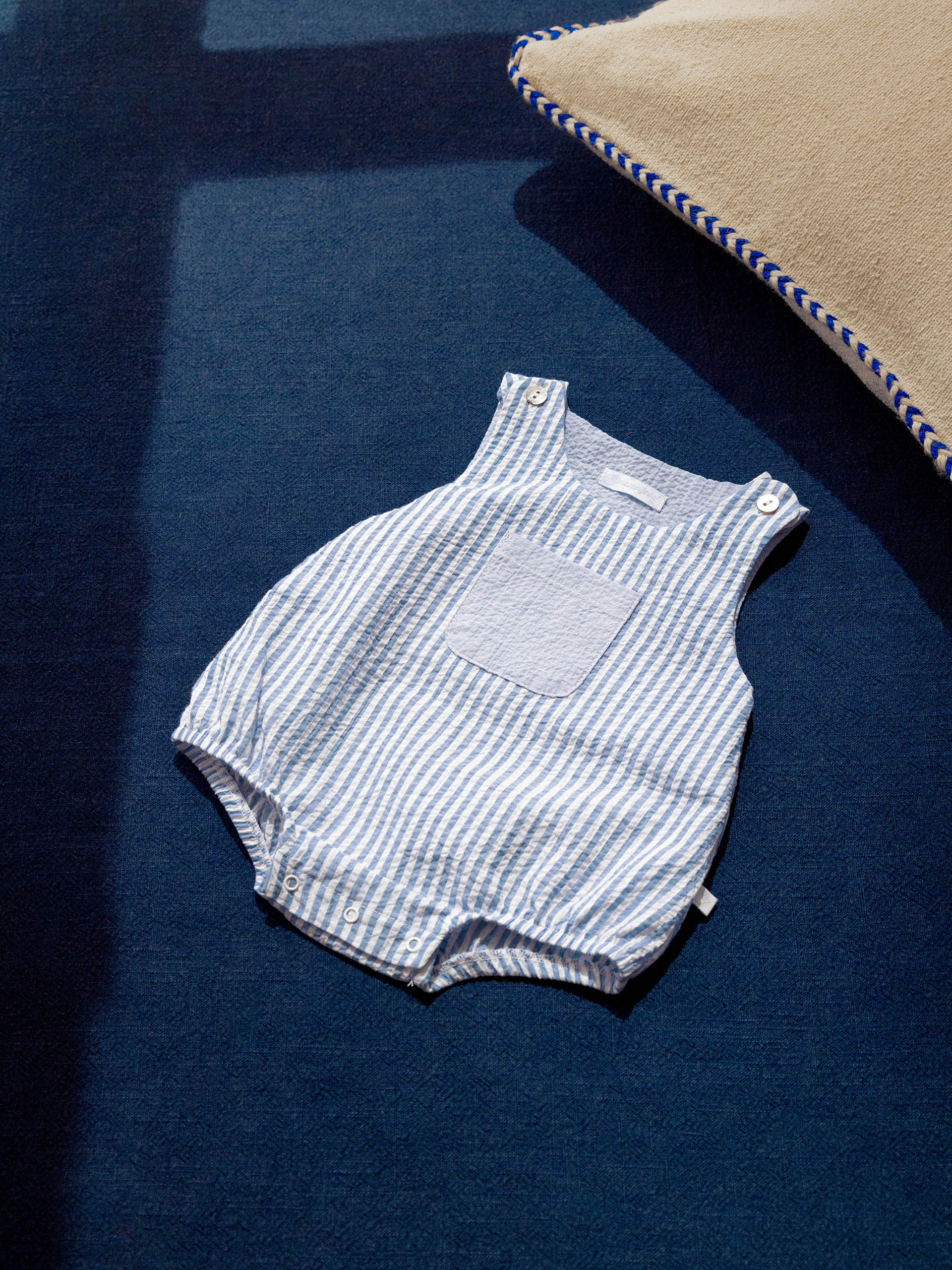 Ranita de Rayas Indigo